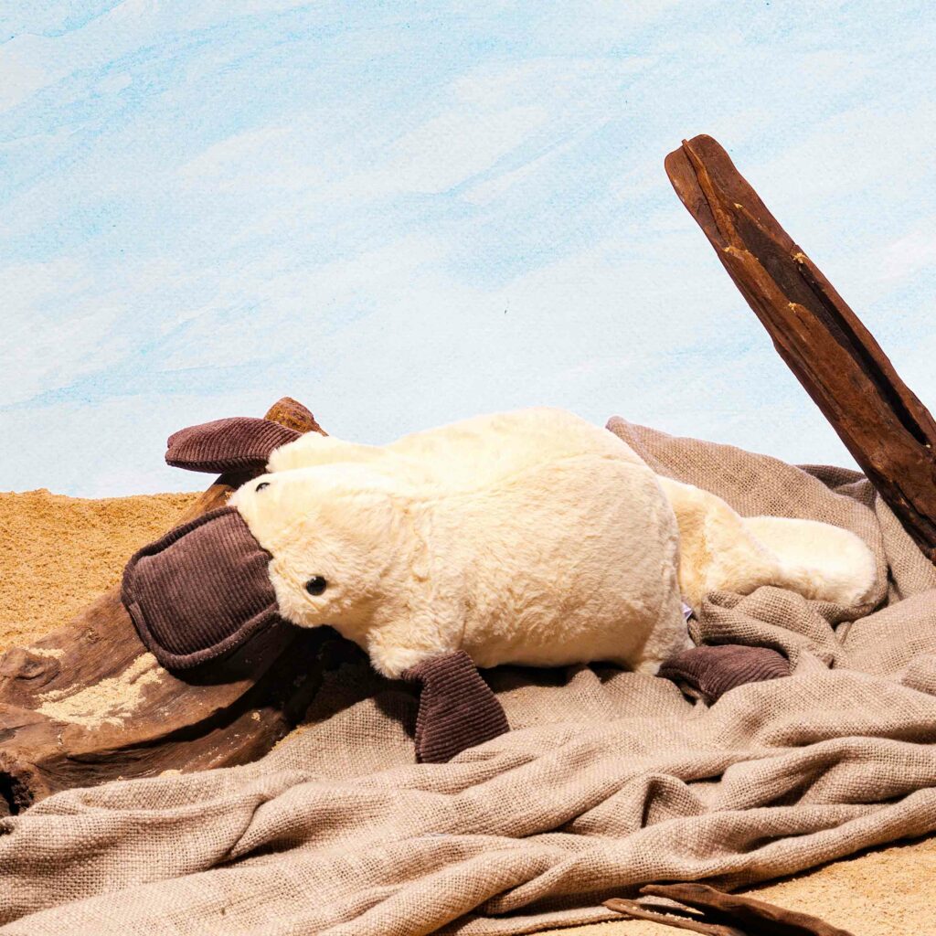 Peluche Ornithorynque