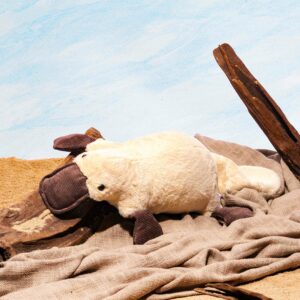 Peluche Ornithorynque
