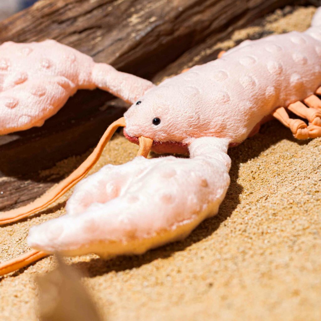 Peluche homard