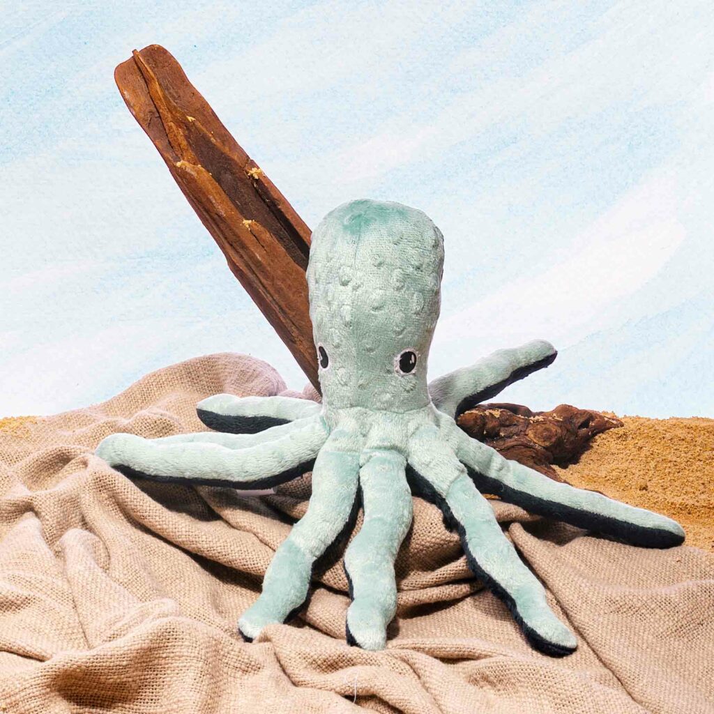 Peluche Poulpe
